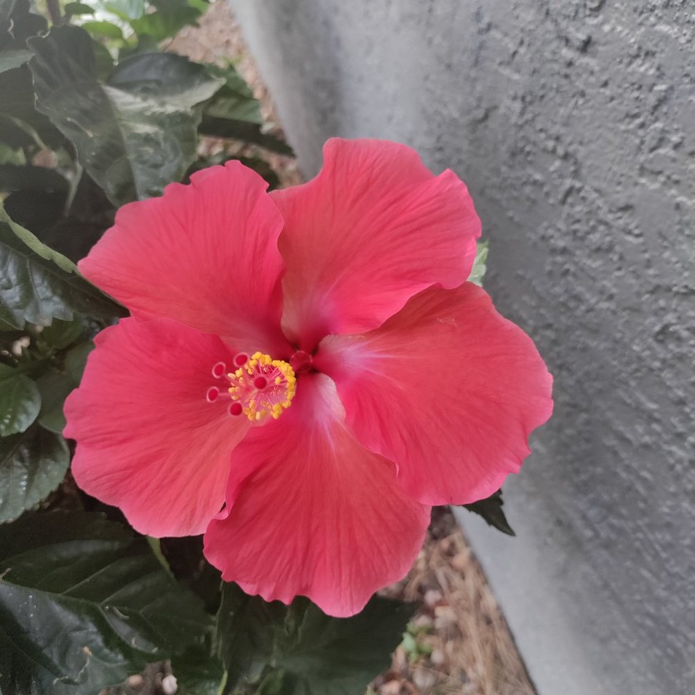 Meet your Posher, Leann